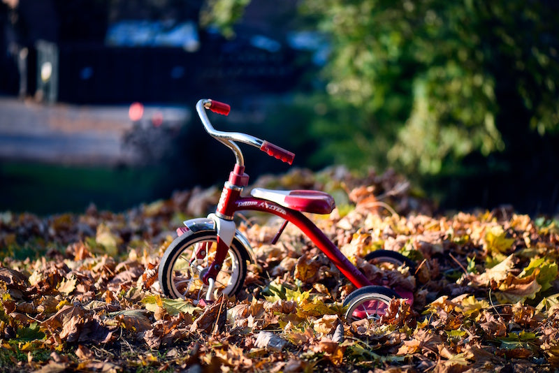 Nature's Prescription for Happy Kids: How Outdoor Play Sparks Joy and Development