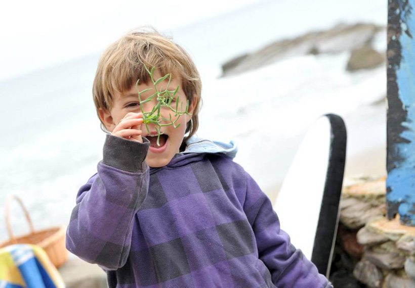 Nature's Pantry: Fun and Nutritious Foraging Snacks for Kids